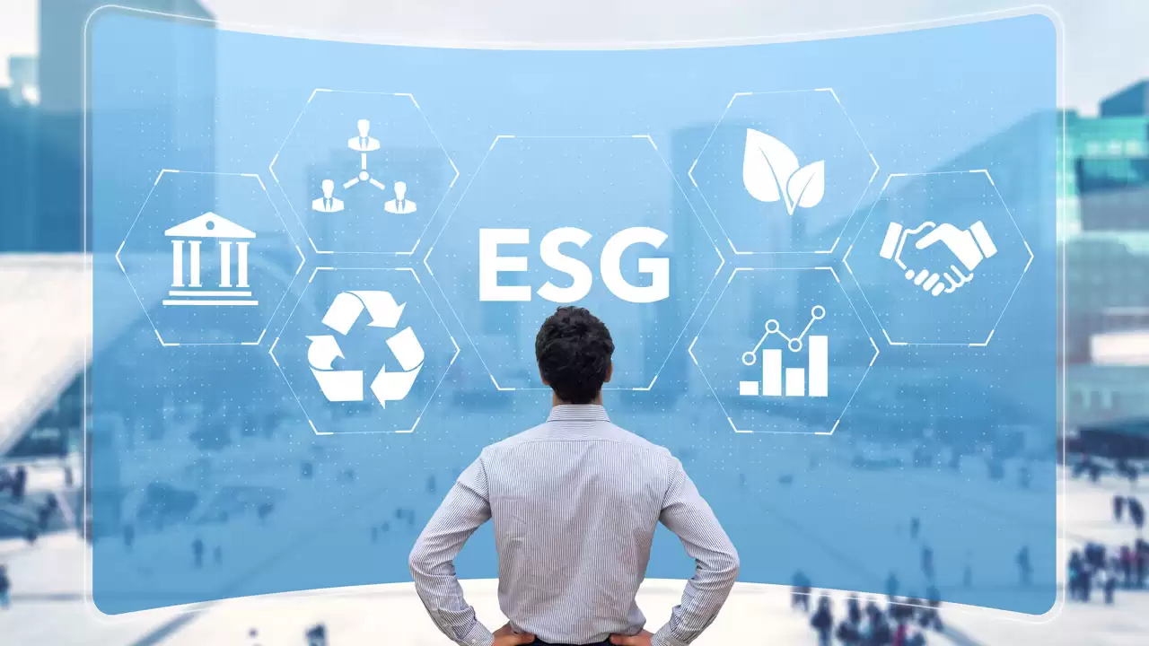 Imagem Blog | Melissa Amaral